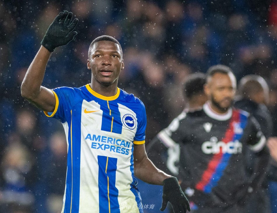 铺就了新的 铺就了新的